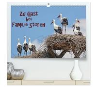 Zu Gast bei Familie Storch (hochwertiger Premium Wandkalender 2026 DIN A2 quer), Kunstdruck in Hochglanz: Störche ... gern gesehene Gäste in Deutschland