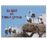 Zu Gast bei Familie Storch (Tischkalender 2026 DIN A5 quer), CALVENDO Monatskalender: Störche ... gern gesehene Gäste in Deutschland