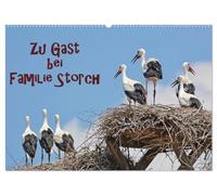 Zu Gast bei Familie Storch (Wandkalender 2026 DIN A2 quer), CALVENDO Monatskalender: Störche ... gern gesehene Gäste in Deutschland