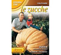 ZUCCA ATLANTIC GIANT