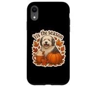 Zucca autunnale per cani da pastore inglese Custodia per iPhone XR