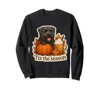Zucca Autunno Autunno Cane Bouvier des Flandres Felpa