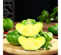 Zucca - Butternut di vecchie varietà da giardino, resistenti, longeve da interno rampicanti balcone serra interna orto 85semi