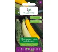 Zucca comune - zucchina miscela di varietà