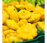 zucca - da appartamento esotiche da giardino interno rampicanti vegetali orto resistente serra balcone rialzato interno di rare di 90semi