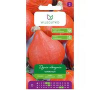 Zucca gigante Uchiki Kuri, tipo Hokkaido - rosso-arancio