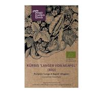 Zucca "Lunga di Napoli" (Cucurbita moschata) circa 5 semi biologici di zucca Lunga di Napoli