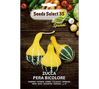 ZUCCA PERA BICOLORE SEMI IN BUSTINA