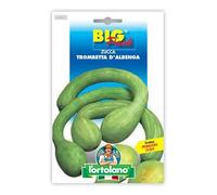 ZUCCA TROMBETTA D'ALBENGA BIG PACK L'ORTOLANO