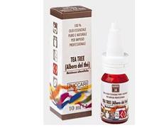 THE ALBERO OLIO ESS 10ML ZUCC