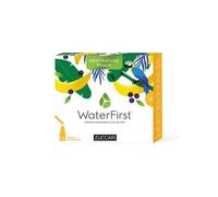 ZUCCARI WATER FIRST DESTINAZIONE BRAZ 12 PEZZI 1,5 G