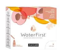 WaterFirst Pesca, Mango, Zenzero 18 g Polvere per soluzione orale