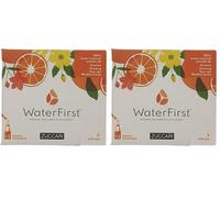 Zuccari WaterFirst Arancia, Ginseng, Fiori del Mediterraneo, 12 Stick-Pack da 1,5g Aromatizzatore per Acqua con Alkacitrati, Senza Zuccheri, Coloranti e Conservanti, Supporta il Metabolismo Acido-Base