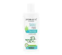 Zuccari Aloe Vera Shampoo Aloecare 200 ml