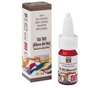 THE ALBERO OLIO ESS 10ML ZUCC