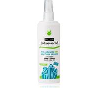 ZUCCARI SRL ALOEVERA2 ANTIODORANTE ALLA PIETRA LIQUIDA SPRAY 100 ML