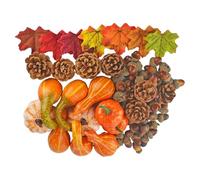 Zucche per decorare - 166/Fall Small Pumpkin Home Decor Set - Decorazione per la casa per fondale panetteria ingresso riempitivo servizi fotografici porta d'ingresso supermercati