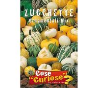 ZUCCHE - ZUCCHETTE Ornamentali in miscuglio (SEMI)