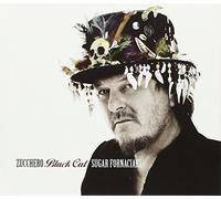 Zucchero - Black Cat