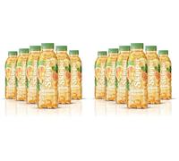 Zuegg Skipper SkipWater, Bevanda Dissetante a Base Frutta, Agrumi e Menta - Bevanda con Succhi di Agrumi e Uva, Estratti Naturali, Senza Zuccheri Aggiunti, Senza Glutine (6x500Ml) (Confezione da 2)
