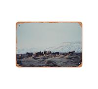 Zuhhgii Poster vintage in metallo con fotografia di Hraun cavalli islandesi II, 30,5 x 20,3 cm, adatto per decorazione da parete di bar, caffetterie, garage, grotte di uomini