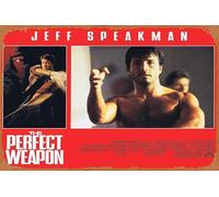 Zuhhgii Targa in latta con scritta in lingua inglese "The perfect weapon" (lingua italiana non garantita), 6 arti marziali, Jeff Speakman, poster in metallo, decorazione da parete per TV bar, uomo