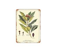 Zuhhgii Targa in latta vintage con stampa di piante di chiodi di garofano: poster vintage con illustrazione artistica con erbe botaniche divertenti e classiche musicali, per bar, pub, caffetterie