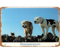 Zuhhgii Targa in metallo con scritta in lingua inglese "Homeward Bound: The Incredible Journey 1993", stile vintage, stile retrò, decorazione da parete per bar, bar, ristorante, grotta, 20,3 x 30,5