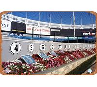 Zuhhgii Targa in metallo vintage, con divertente monumento al vecchio stadio Yankee Stadium, decorazione artistica da parete per musicista, per cantina, bar, pub, club, bar, bagno, film