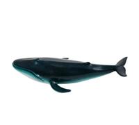 Zunate Giocattolo della Balena Blu Realistico Modello Animale dell'oceano in Gomma Morbida e per i più Piccoli Bambini 3 Plus. Gioco di Creature Marine per la Prima Educazione (Gomma morbida)