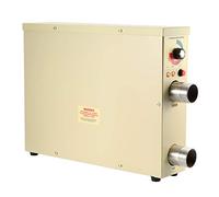 Zunate Riscaldatore per Piscina in Acciaio Inossidabile da 5,5 KW |Riscaldatore Elettrico con Termostato 220 V per Vasca Idromassaggio Spa a Temperatura Costante