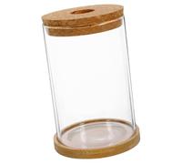 ZUNOXAZ Bottiglia Terrario in Vetro Trasparente con Tappo in Sughero e Base in bambù Contenitore per Micro Paesaggi con Piante e Muschio Vaso Ecologico Decorativo per Casa e Giardino