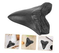 ZUNOXAZ Dente Megalodonte Gigante in Realistica Decorazione Ornamentale da Fossile Preistorico Educativo e Didattico Superficie Liscia e Resistente