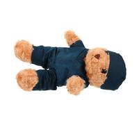 ZUNOXAZ Plush Nurse Bear in Scrub Cute Medical Stuffed Animal For Nursing Students Graduation Gift Portable Detailed Design Lightweight Keepsake