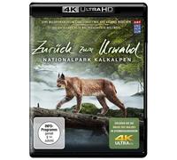 Zurück zum Urwald Ultra HD (4K) (4K UHD Blu-ray) Various