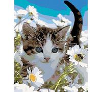 ZUTY- Dipingere con i Numeri, Colore Tutti, 40x50 cm, 843231