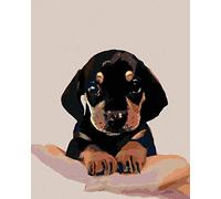 ZUTY- Dipingere con i Numeri, Colore Tutti, Framed, 315221