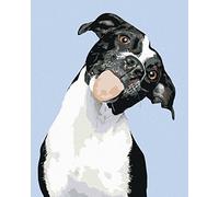 ZUTY- Dipingere con i Numeri, Colore Tutti, Framed, 422201