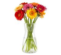 Zuzer Vaso per Fiori in Vetro Trasparente, Vasi Decorativi Moderni per Centrotavola, Composizioni Floreali, Casa, Matrimonio e Ufficio 10.5x8.5x20cm