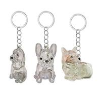 ZwaitL Scatola da collezione di pellicce di cane trasparente, portachiavi per amanti degli animali domestici, per conservare la memoria, accessori per animali domestici, regalo decorativo per pellicce