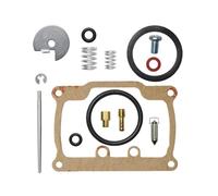 ZWBHNB Riparazione Carburatore Kit di Riparazione Carburatore per Motociclette per Suzuki TS125 TS125N TC125 TS100, Guarnizione Valvola Carburatore, Vite di Carburatore Kit Riparazione
