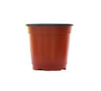 ZWEquipint 100 vasi da 10 cm in plastica rossa e nera, per coltivare e trapiantare piante in giardino (100 rossi)