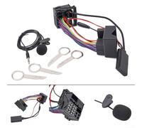 ZWEquipint Cavo adattatore ingresso AUX per radio Ford 5000CD 6000CD, interfaccia audio con microfono per Focus Fiesta, per Mondeo, Kuga, C-Max, S-Max, per Galaxy Fusion Transit Connect MK2 MK3
