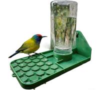 ZWEquipint Distributore d'acqua verde per esterni per uccelli e insetti, mangiatoia montata su parete o albero con scanalatura anti-annegamento, ispessito per decorazione da giardino in polilattato