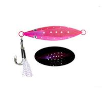 ZWEquipint Esche che si illuminano al buio, esche realistiche per pesca notturna, azione di affondamento fluida con ganci forti (80 g B)