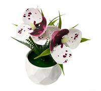 ZWEquipint Orchidea Phalaenopsis artificiale in miniatura in vaso in plastica morbida per decorazione della casa matrimonio mensola espositore da tavolo 12,4 cm (bianco maculato viola)