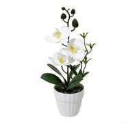 ZWEquipint Orchidea Phalaenopsis artificiale in vaso in gomma morbida per decorazione casa giardino ufficio bianco rosso viola 26 cm (A)