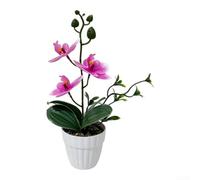 ZWEquipint Orchidea Phalaenopsis artificiale in vaso in gomma morbida per decorazione casa giardino ufficio bianco rosso viola 26 cm (I)