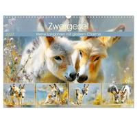 Zwergesel. Kleine Langohren mit großem Charme (Wandkalender 2027 DIN A3 quer), C