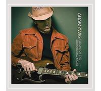 Zwig, Adam - Visions Of The Shimmering Night